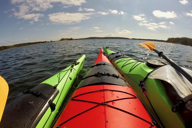 1-Day Small-Group Stockholm Archipelago Kayak Tour - A campfire lunch on a deserted island