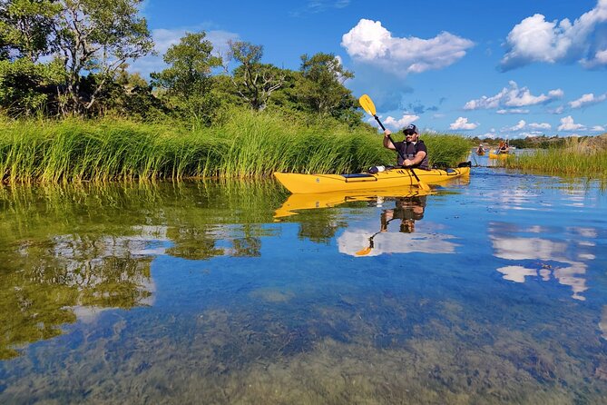 1-Day Small-Group Stockholm Archipelago Kayak Tour - Plants, birds, and the quieter side of Sweden