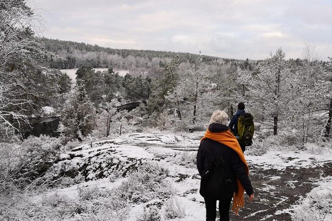 1-Day Small-Group Stockholm Nature Hiking - Lunch beside a blazing campfire
