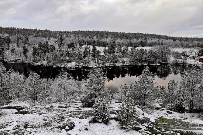 1-Day Small-Group Stockholm Nature Hiking - Snow, frozen water, and the changing Swedish seasons