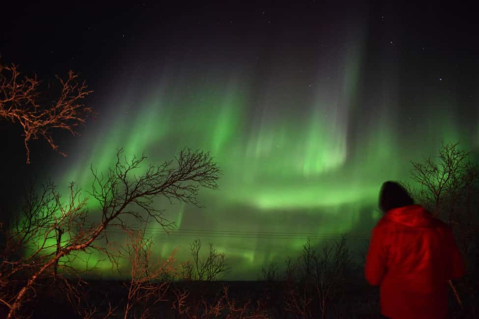 Abisko Arctic Ecology and Northern Lights Tour - Meeting Magnus outside Abisko