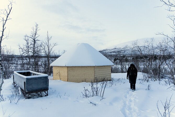 Abisko Arctic Reindeer Experience and Sami culture - Meeting reindeer near Abisko