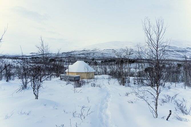 Abisko Arctic Reindeer Experience and Sami culture - Who will enjoy this experience most?