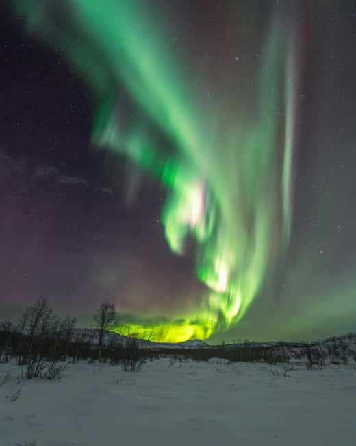 Abisko: Aurora Car Chasing Tour with Photographer - Warm drinks, hand warmers, and Arctic cold