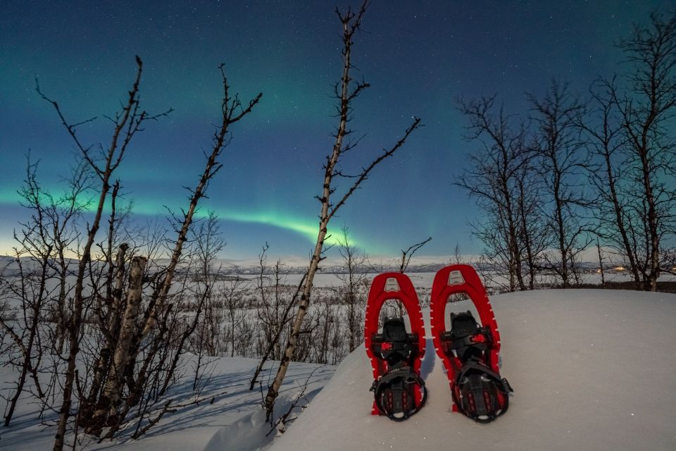 Abisko: Aurora Snowshoeing - Learning to walk on Arctic snowshoes
