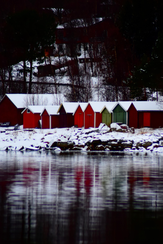 Abisko: Fjord Sightseeing and Photography Tour - The minivan ride and group feel