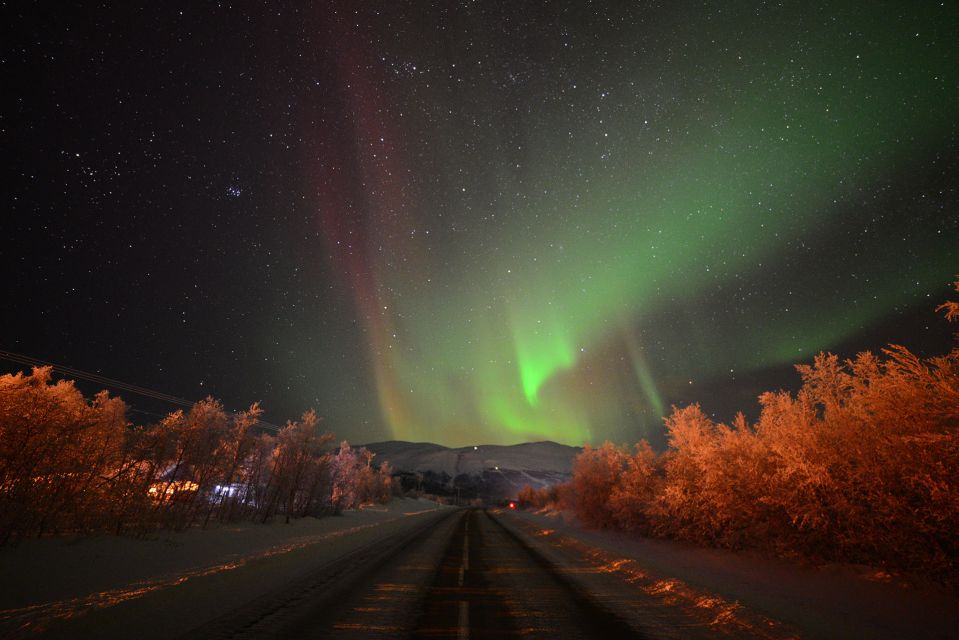 Abisko: Guided Aurora Chase with Hotel Transfers - Guides, camera help, and the human side of the night