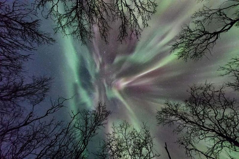 Abisko: Guided Autumn Aurora Chase with Hotel Transfers - Key points to know before booking