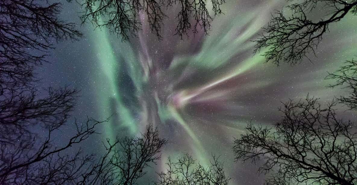 Abisko: Guided Autumn Aurora Chase with Hotel Transfers - The river village offers a quieter alternative