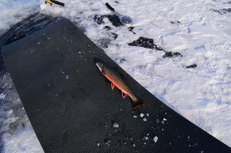 Abisko: Ice Fishing Experience - What the two hours are really worth