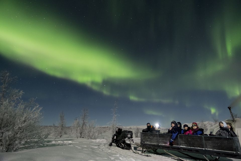 Abisko: National Park Northern Lights Photo Tour - Key points at a glance