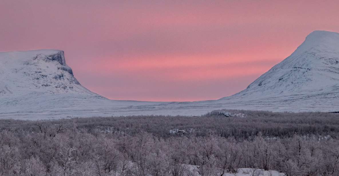 Abisko National Park: Scenic Morning Hike with Transfer - Walking through the mountain birch forest