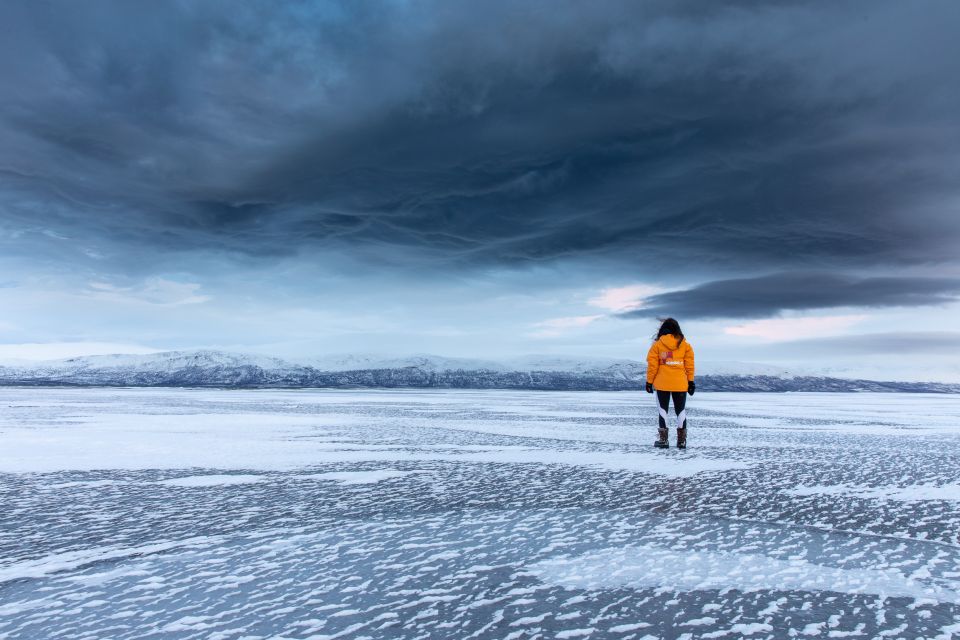 Abisko National Park: Scenic Morning Hike with Transfer - Wildlife signs, not a guaranteed safari