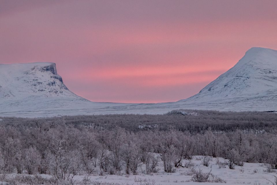 Abisko National Park: Scenic Morning Hike with Transfer - The guides are the heart of the experience