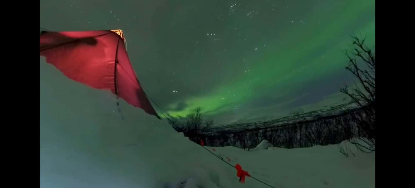 Abisko: Northern Lights Hike with Husky Puppies - Key points to know before you book