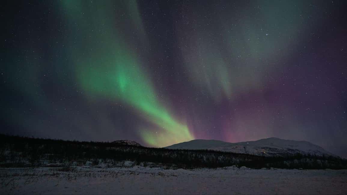Abisko: Northern Lights Hike with Husky Puppies - Walking 1.5 kilometers into the Abisko Valley