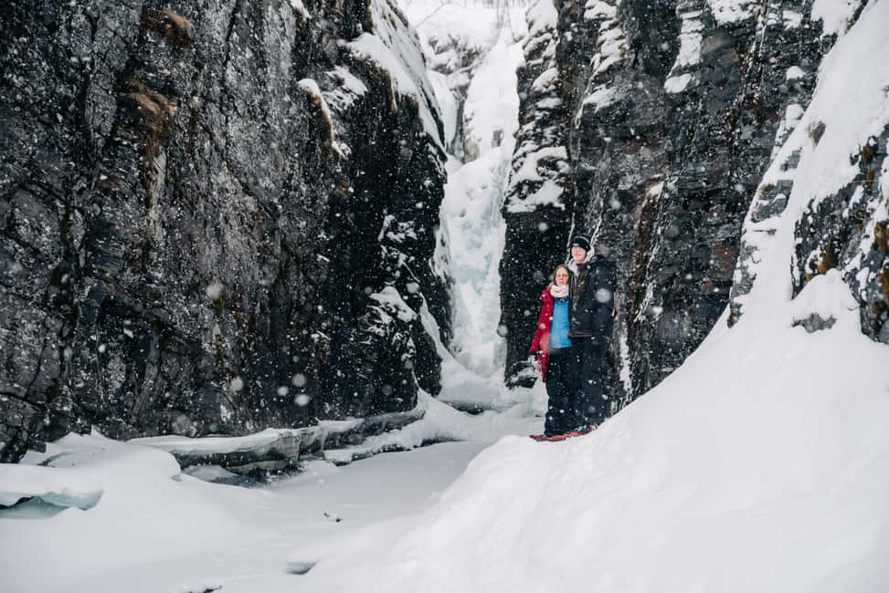 Abisko: Photo Hike with Professional Photographer - Why a photo hike works so well in Abisko
