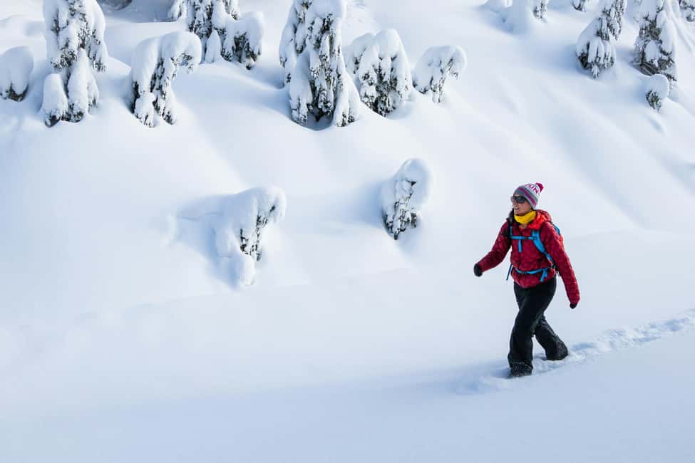 Abisko: Photo Hike with Professional Photographer - Starting from four Abisko pickup points