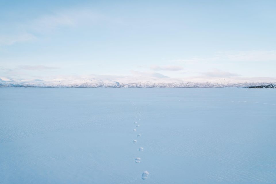 Abisko: Snowmobile Sled Expedition with Snack and Hot Drink - Through Abisko’s snowy forests