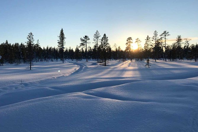 Afternoon Snowmobile Tour - Leaving Kiruna at 3 p.m.