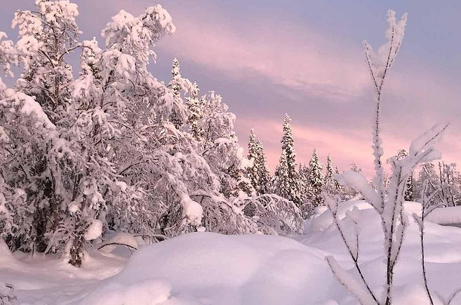 Afternoon Snowmobile Tour - Across the frozen Torne River area