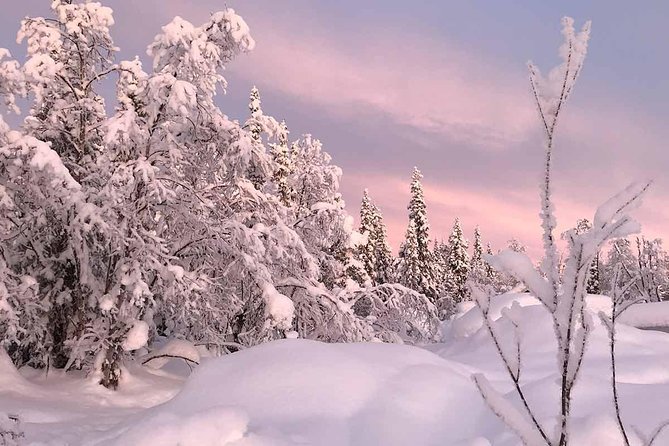 Afternoon Snowmobile Tour - What the guides add to the experience