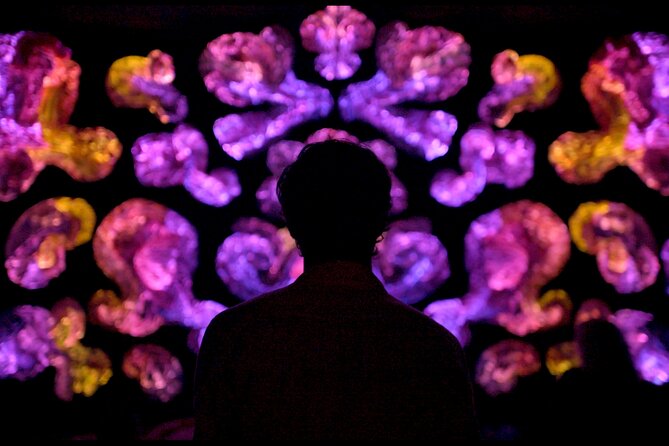 Andetag Immersive Art Experience - Key things to know about ANDETAG
