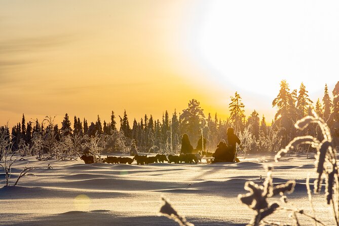 Arctic Afternoon Eco Experience (14:00-17:00- driving the sled) - Setting out from Kiruna at 2:00 pm