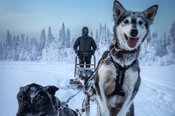 Arctic Afternoon Eco Experience (14:00-17:00- driving the sled) - Staying warm in Kiruna’s severe cold