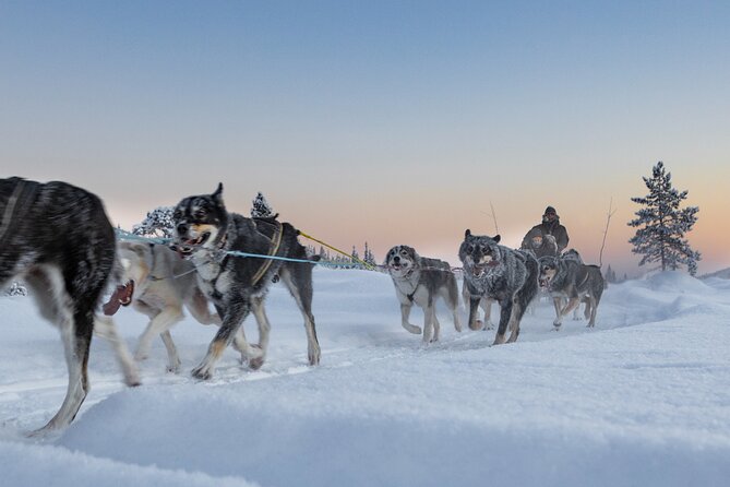 Arctic Afternoon Eco Experience (14:00-17:00- driving the sled) - Warming up in the wooden hut