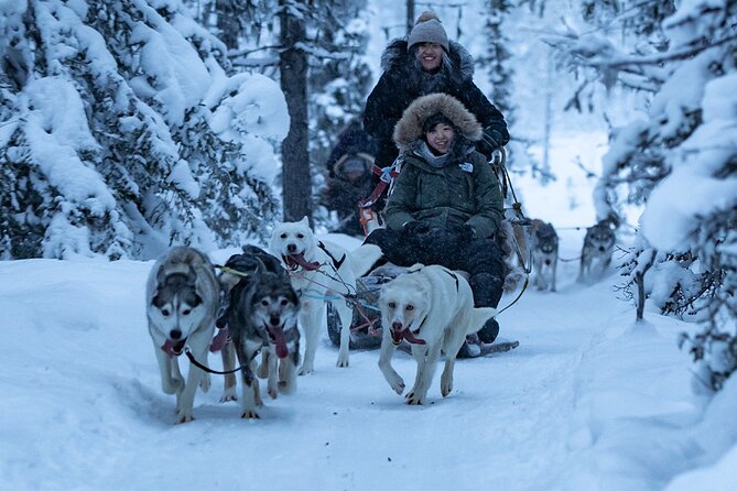 Arctic Afternoon Eco Experience (14:00-17:00- driving the sled) - Who should book this afternoon adventure?