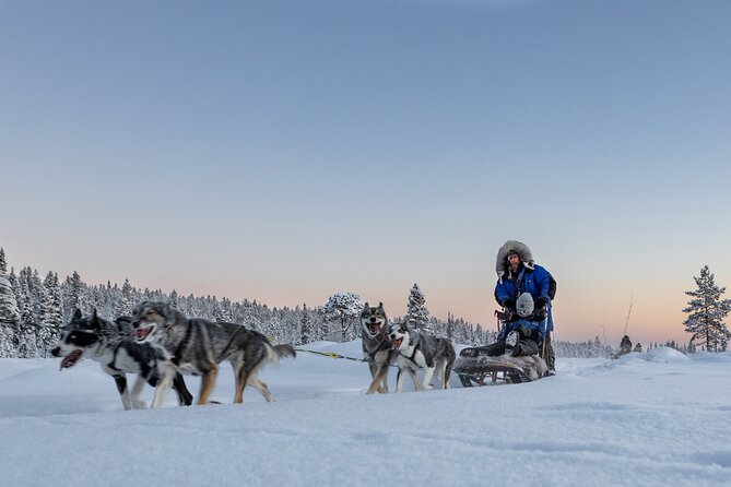 Arctic Afternoon Eco Experience (14:00-17:00- driving the sled) - Driving your own sled through the forest