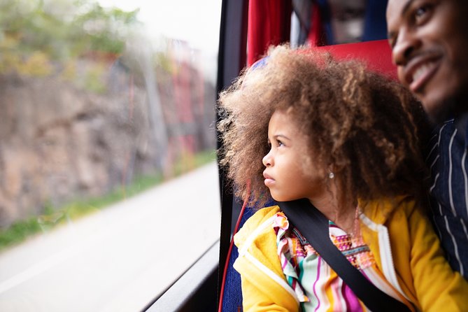 Arlanda Airport Bus Transfer Departure - Luggage rules and comfort