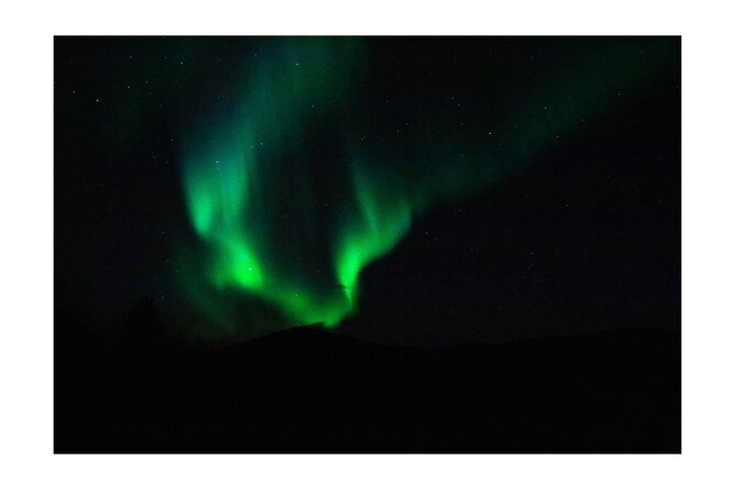 Aurora Borealis Tour in Kiruna - Lapland with Stejk Street Food - Is the $199.93 price fair?