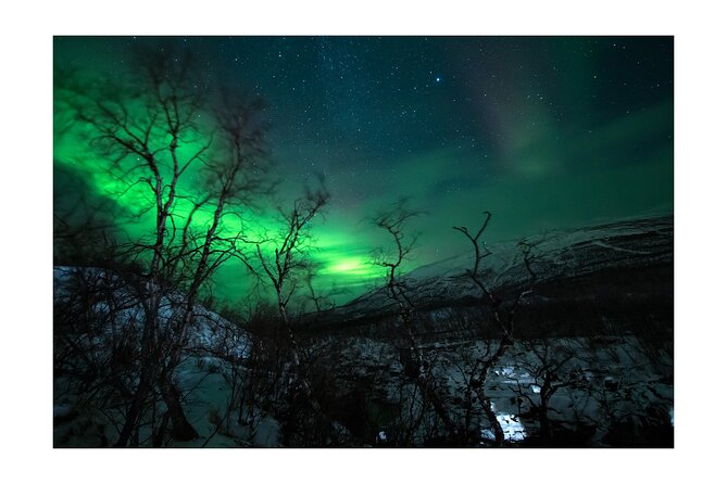 Aurora Borealis Tour in Kiruna - Lapland with Stejk Street Food - What the guides add to the long night