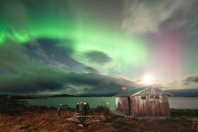 Aurora Car Chasing Tour with Photographer - Chasing the Northern Lights around Abisko
