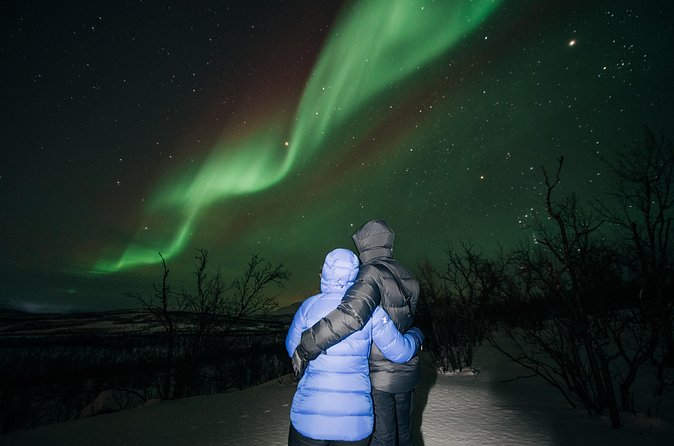 Aurora Car Chasing Tour with Photographer - A small group makes the night more personal