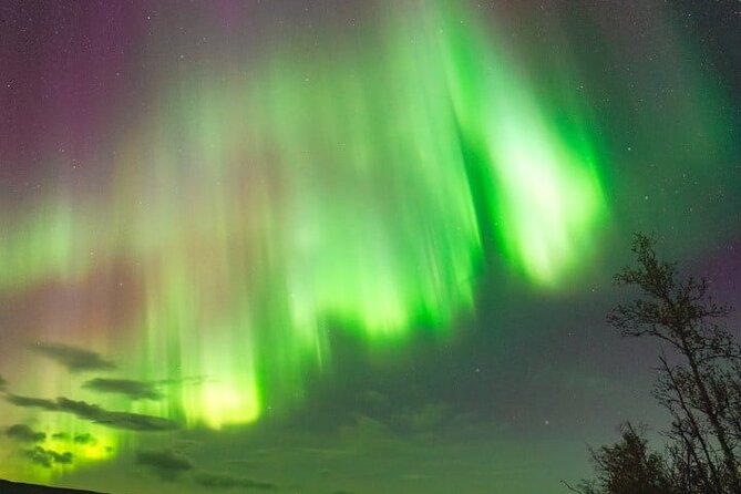 Aurora Car Chasing Tour with Photographer - Who will get the most from this tour
