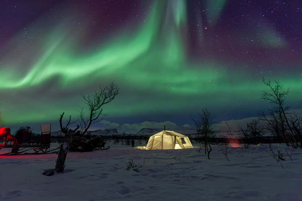 Aurora Snowmobile Sled Tour - Riding beneath the trees on warm reindeer skins
