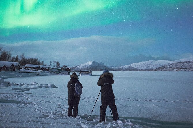 Aurora Tour with Dinner in Abisko - Dinner in Abisko with Arctic ingredients