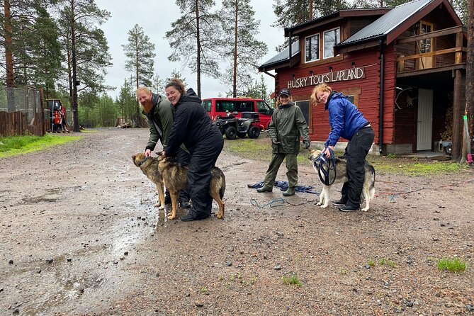 Autumn Husky Sit and Drive Cart Tour from Kiruna - Key points to know before you book