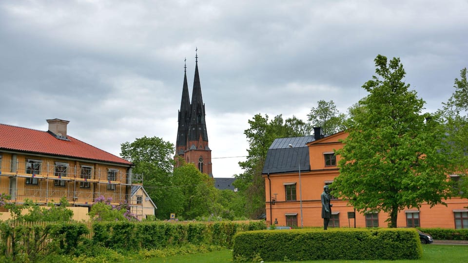 Best of Uppsala: Private Walking Tour with a Local - Who will enjoy this Uppsala experience?