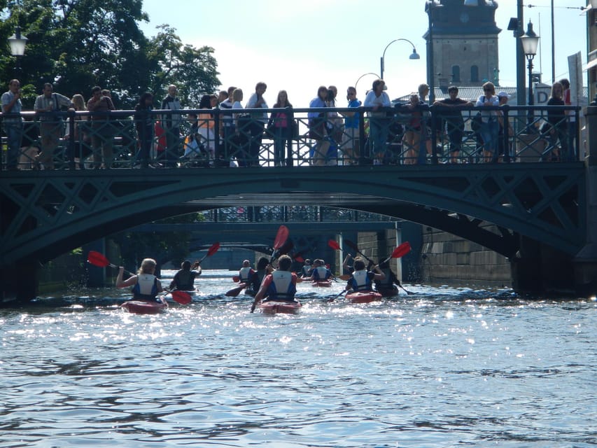 City Kayak Tour - What the $61 price really includes