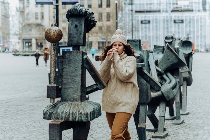 Copenhagen: Malmö Private Highlights Trip with Lunch Option - What the guides add