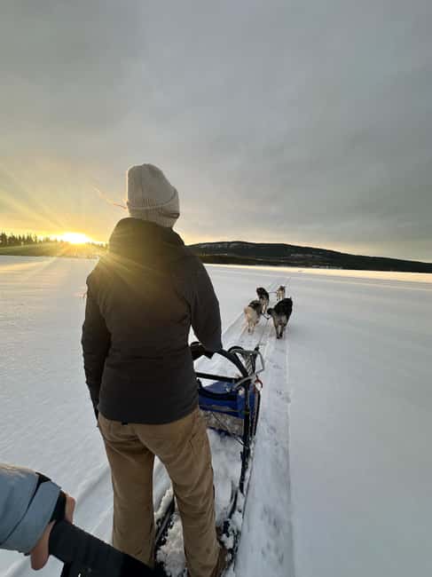 Dog sled tour with overnight stay in central Sweden/Härjedalen - The 4 to 5 kilometer husky hike