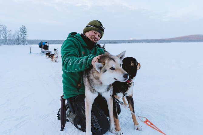 Dog sledding excursion to Kiruna - Reaching the Dog Camp Near Kiruna