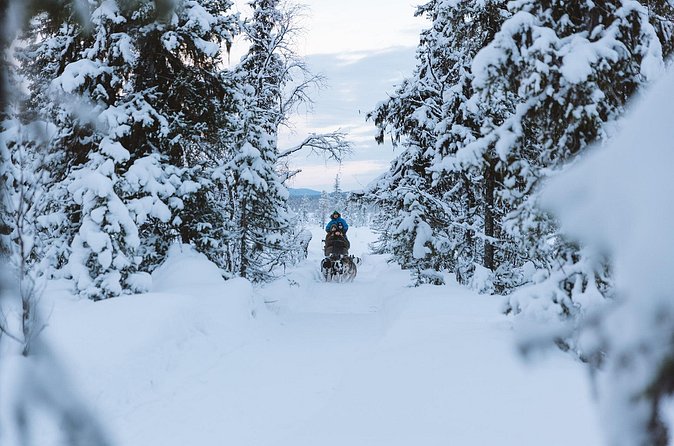 Dog sledding excursion to Kiruna - Returning for the Second Sled Section