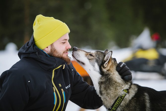 Dogsled Adventure Kiruna - A fire break with soup, coffee, and cinnamon buns