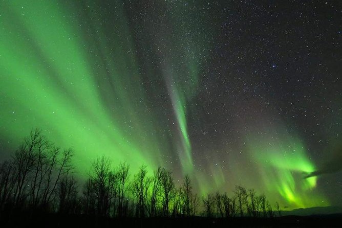 Enjoy the Aurora show on top of the mountain inc tipi dinner - What the $338.80 price really buys