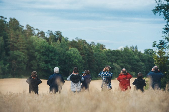 Evening Wildlife Safari Stockholm - Key points to know before booking